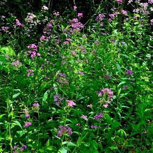 Meet your Posher, Helena